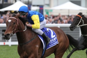 Black Heart Bart, above, is chasing back to back wins in the 2018 P.B. Lawrence Stakes at Caulfield. Photo by Ultimate Racing Photos.