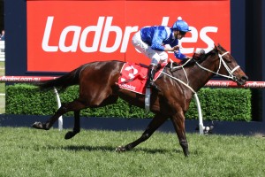 Winx, above, is ready to kick off her 220118 Cox Plate campaign after pleasing connections with Rosehill barrier trial third. Photo by Ultimate Racing Photos. 