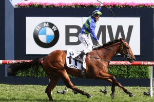 Caulfield Cup winner Jameka, above, has been retired. Photo by Ultimate Racing Photos.