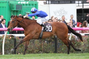 Faatinah, above, will be running first up in the Carlyon Stakes at The Valley. Photo by Ultimate Racing Photos. 