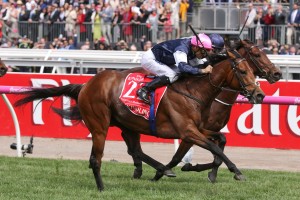 The Joseph O'Brien trained Rekindling, above, won the 2017 Melbourne as a Northern Hemisphere 3yo. Photo by Ultimate Racing Photos.