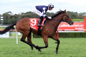 Zahspeed, above, was the winner of the 2018 Darwin Cup at Fannie Bay. Photo by Ultimate Racing Photos.