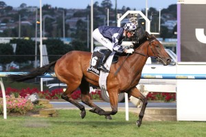 Zahspeed, above, is the short priced favourite for the 2018 Darwin Cup. Photo by Ultimate Racing Photos.