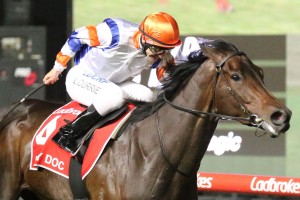 Jockey Luke Currie, above, will ride Grunt in the 2018 Memsie Stakes at Caulfield. Photo by Ultimate Racing Photos.