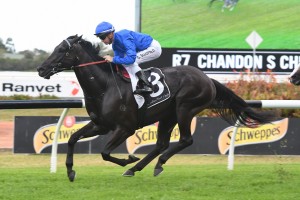 Kementari, above, is in top shape to take on Winx in the 2018 Winx Stakes at Randwick. Photo by Steve Hart.