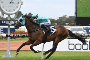 Cabeza De Vaca, above, is one of the main fancies for the 2018 Chelmsford Stakes at Randwick. Photo by Steve Hart. 