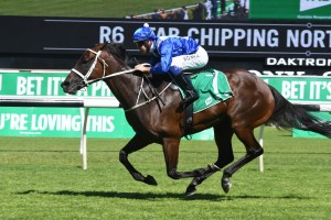 Winx, above, is well into her 2018 Cox Plate preparation. Photo by Steve Hart.