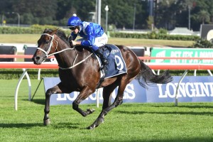 Winx, above, has drawn perfectly at barrier 5 in the 2018 Winx Stakes at Randwick. Photo by Steve Hart. 