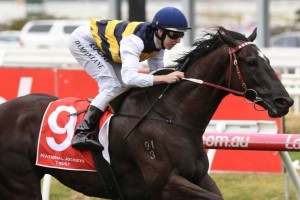 Night's Watch, above, is the favourite for the 2018 Naturalism Stakes at Caulfield. Photo by Ultimate Racing Photos.