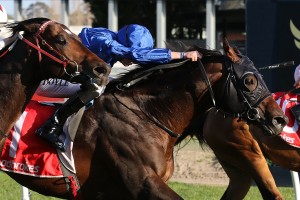 Jungle Cat, above in royal blue colours, scores a narrow win in the 2018 Sir Rupert Clarke Stakes at Caulfield. Photo by Ultimate Racing Photos.