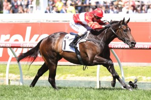 Invincible Star, above, will strip fitter in The Shorts at Randwick. Photo by Ultimate Racing Photos.