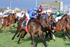 Encryption, above in royal blue colours, wins the Danehill Stakes at Flemington. Photo by  Ultimate Racing Photos..