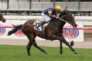 Grunt, above, wins the 2018 Makybe Diva Stakes at Flemington. Photo by Ultimate Racing Photos.