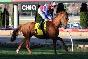 Magic Consol, above, has gained automatic entry into the 2018 Cox Plate with his win in the Dato Tan Chin Nam Stakes at The Valley. Photo by Ultimate Racing Photos.