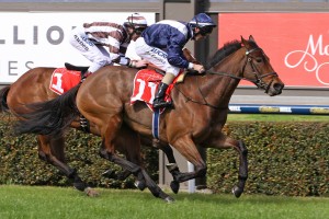 Viddora, above in blue colours, is primed for a good first up performance in the 2018 Moir Stakes at The Valley. Photo by Jenny Barnes. 