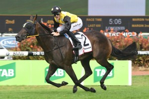 In Her Time, above, is ticking over nicely heading towards the 2018 The Everest at Randwick. Photo by Steve Hart.  