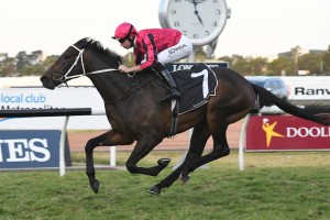 Paret, above, has gained a start in the 2018 Epsom Handicap at Randwick. Photo by Steve Hart.