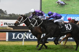 Invincibella, above with white cap, and Noire, purple cap, quinella the Sheraco Stakes at Rosehill. Photo by Steve Hart. 