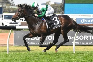 Thinkin' Big, above, leads all of the way to win the Gloaming Stakes at Rosehill. Photo by Steve Hart.