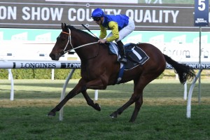 Le Romain and James McDonald, above, will team up again in the George Main Stakes at Randwick. Photo by Steve Hart. 