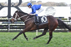 Winx, above, is in fine shape for the 2018 George Main Stakes at Randwick. Photo by Steve Hart.