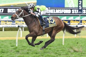 Unforgotten, above, has been scratched from the 2018 George Main Stakes at Randwick. Photo by Steve Hart.