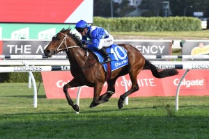 Miss Fabulass, above, has drawn barrier 3 in the 2018 Flight Stakes at Randwick. Photo by Steve Hart.