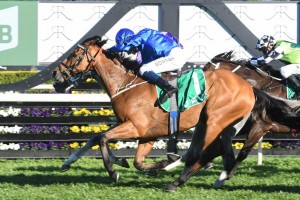 Hartnell, above, scored a tough win in the 2018 Epsom Handicap at Randwick. Photo by Steve Hart.