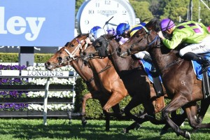 Oohood, in the middle with the blue cap, gets the judge's decision in the Flight Stakes at Randwick. Photo by Steve Hart. 