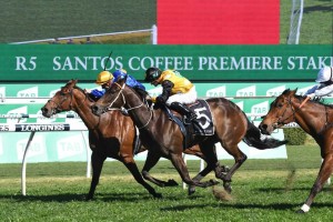 Santa Ana Lane, slips up along the inside fence in the yellow cap to win the Premiere Stakes at Randwick. Photo by Steve Hart.