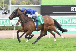 Happy Clapper, above, has been allocated the top weight or the 2018 Epsom Handicap at Randwick. Photo by Steve Hart.