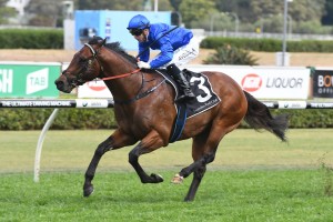 Viridine, above, is revved up to mow down Nature Strip in the 2018 McEwen Stakes at The Valley. Photo by  Steve Hart.