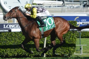 Egyptian Symbol, above, is one of two Bjorn Baker trained mares to line up in the Sheraco Stakes at Rosehill. Photo by Steve Hart.