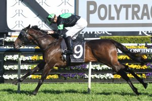 Sesar stamped himself as a serious colt with an impressive win in the Roman Consul Stakes. Photo by: Steve Hart