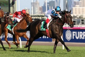 Amphitrite, above, scores a convincing win in the Edward Manifold Stakes at Flemington. Photo by Ultimate Racing Photos.
