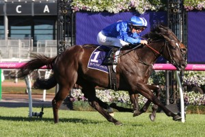 Avilius, above, has gained a start in the 2018 Melbourne with his win in The Bart Cummings at Flemington. Photo by Ultimate Racing Photos.