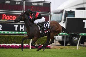 Away Game, above wins the 2020 Magic Millions 2yo Classic at the Gold Coast. Photo by Steve Hart.