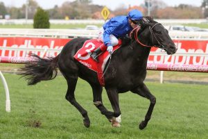 Bandipur (Photo: Ultimate Racing Photos) - HorseRacing.com.au