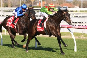 Begood Toya Mother. Photo: Ultimate Racing Photos.