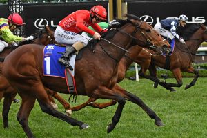 Brave Song. Photo: Ultimate Racing Photos.