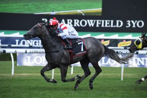 Classique Legend Horse Form (Photo: Steve Hart) - HorseRacing.com.au