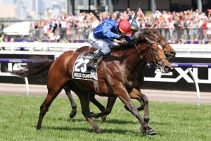 Cross Counter has the chance to become the first horse since Makyve Diva to win the Melbourne Cup in back-to-back years. Photo by: Steve Hart
