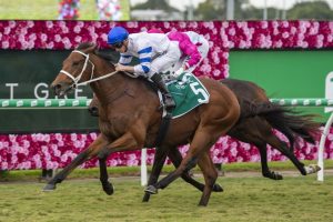 Baccarat Bay finished second to Kolding, above, in the 2019 Queensland Guineas at Eagle Farm. Photo by Steve Hart.