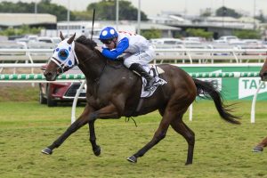 2019 Queensland Derby winner Mr Quickie. Photo: Steve Hart.