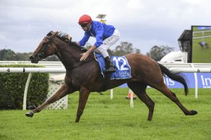 Rubisaki, above, wins the Inglis Sprint at Warwick Farm. Photo by Steve Hart.
