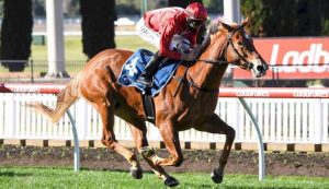 Brooklyn Hustle, above, will have her next start in the Carlyon Stakes at The Valley. (Image: Racing Photos/Pat Scala)