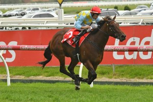 Jockey Dwayne Dunn, above, rides Lanigera in the Chairman's Stakes at Caulfield. Photo by Ultimate Racing Photos.