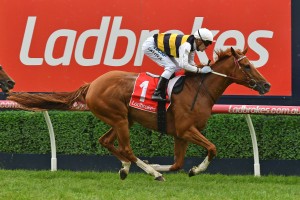Mark Zahra, above, rides Ventura Storm in the 2018 Melbourne Cup at Flemington. Photo by Ultimate Racing Photos.