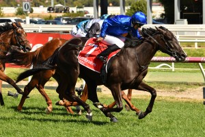 Lyre, above, storms home to win the 2019 Ladbrokes Blue Diamond Stakes at Caulfield. Photo by Ultimate Racing Photos.