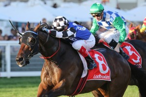 Plein Ciel, above in blue, black and white colours, is running over his pet distance in the 1600m Winter Championship Series Final at Flemington. Photo by Ultimate Racing Photos.